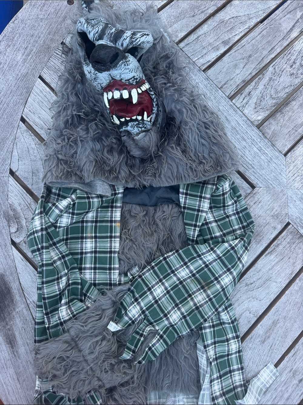 Howl at the Moon Gray Wolf Costume Jacket with Green Plaid Shirt Accent kids